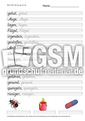 DSS_2S_Bu_ge_Nr_08.pdf